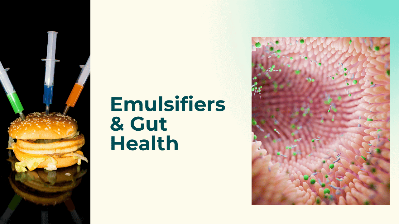 Burger injected with colorful syringes beside an illustration of the gut lining and microbiome, representing research into emulsifiers and gut health.